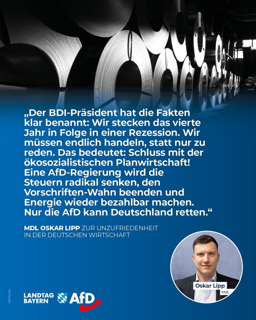 BDI-Chef schlägt Alarm: Unternehmer von Bundesregierung „maßlos enttäuscht“ – Nur die AfD rettet Deutschland!